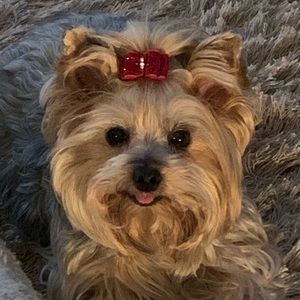 Meet your Posher, Elizabeth